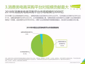 2019年中國企業(yè)采購電商市場深度解析 機遇、挑戰(zhàn)與未來趨勢